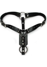 anaAnal Plug Harness with Cock Ring Black
